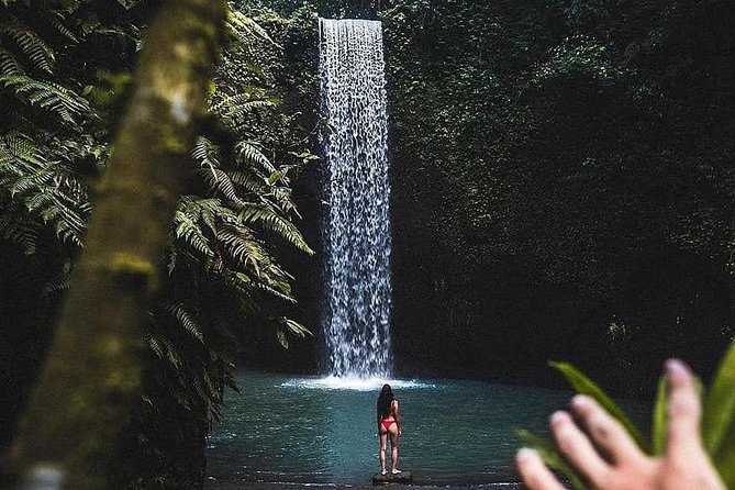 Bali Culture and Choose Your Bali Tour Route in Bali with Bali driver-Free WIFI - What is included, and what you still pay for