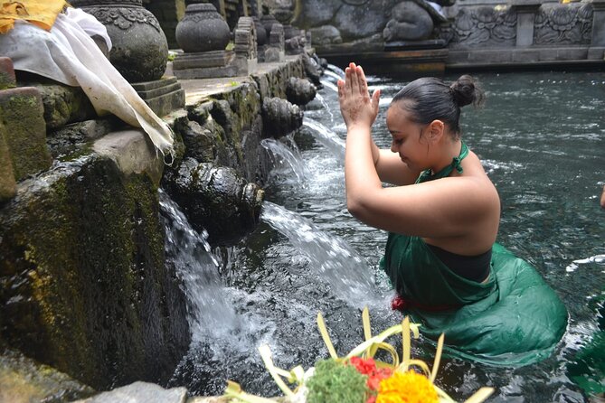 Bali Culture And Spring Temple Private Guided Tour - A long day that connects Bali’s culture and countryside