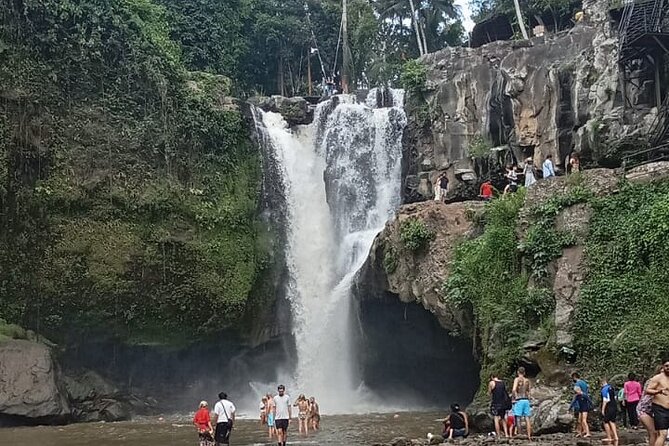 Bali Culture And Spring Temple Private Guided Tour - Tegalalang Rice Terrace and lunch with a view