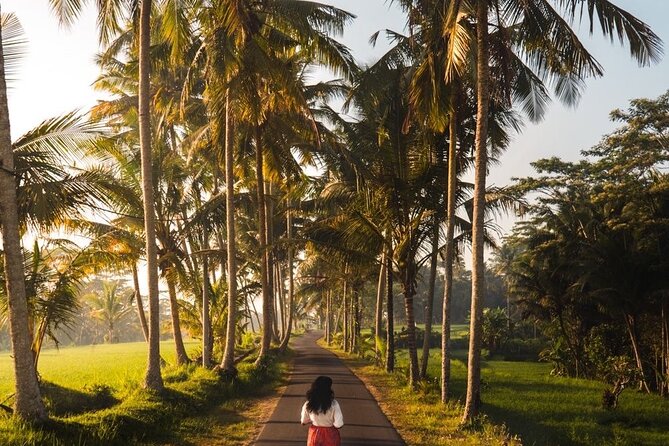 Bali Customized Tour Private Car and Driver - How flexible is the day?