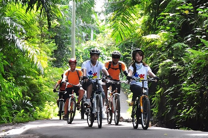 Bali Cycling and Ubud Waterfall Tour - Why the downhill ride is the heart of the day