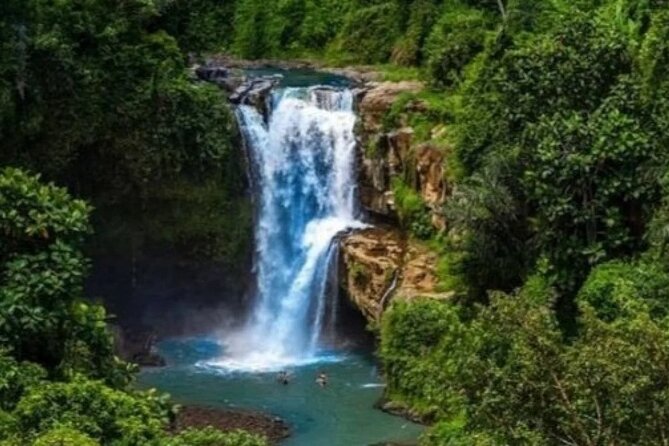 Bali Day Trip to Ubud Highlight Tour and Tanah Lot Temple - Tanah Lot at sunset: the day’s grand finale