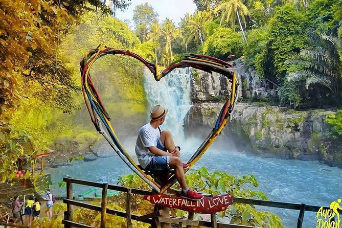 Bali Day Trip to Ubud Highlight Tour and Tanah Lot Temple - What the private car changes