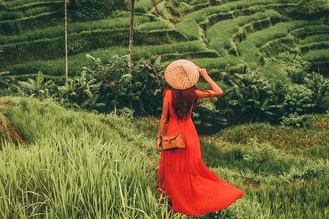 Bali Day Trip to Ubud Highlight Tour and Tanah Lot Temple - Is $85 good value?