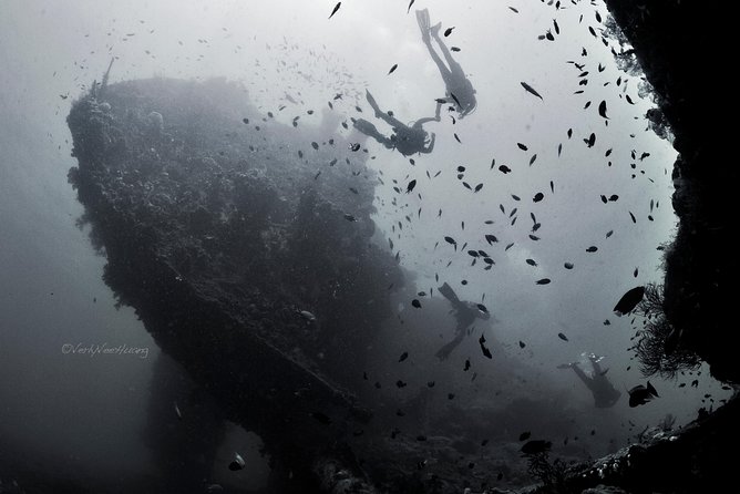 Bali Diving Day Trip-Manta Point/Tulamben Shipwreck-Fun Dive - The 7 a.m. start and the road to Tulamben