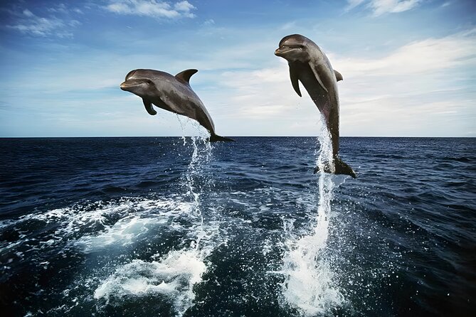 Bali Dolphin Watching Sunrise Tour in Lovina Beach - Getting from southern Bali to Lovina