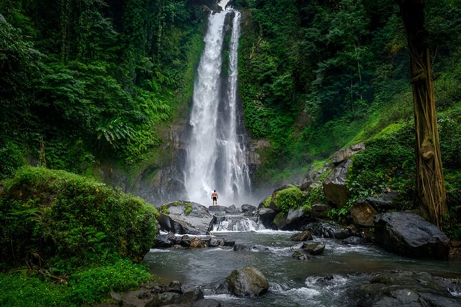 Bali Dolphin Watching Sunrise Tour in Lovina Beach - Tamblingan and Buyan, Bali’s twin lakes
