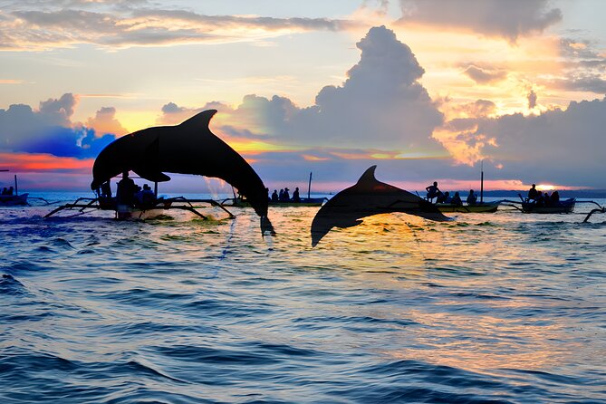 Bali Dolphin Watching Sunrise Tour in Lovina Beach - Candikuning Market for a local stop