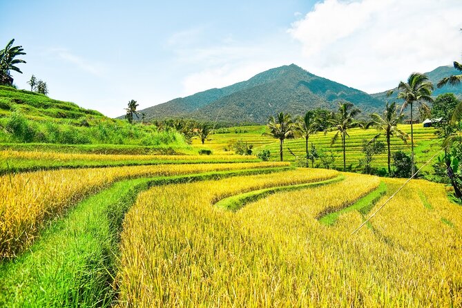 Bali Full-Day Private Customize Tour - Six famous Bali sights, one ambitious day