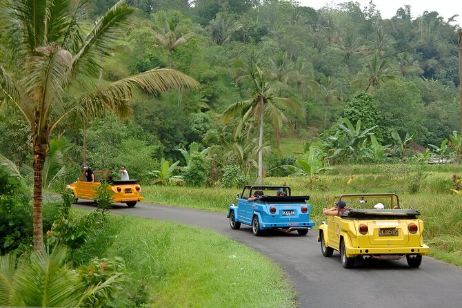 Bali Full-Day The Gate of Heaven Tour by VW Safari Classic Car - The road trip is part of the experience