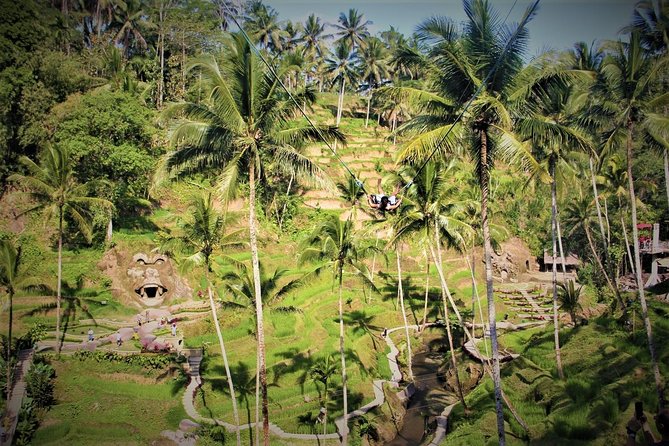 Bali Full Day Tour | Individual Route in Bali | Bali Guide | Free Wi-Fi - South Bali: cliffs, surf, sunset, and dance