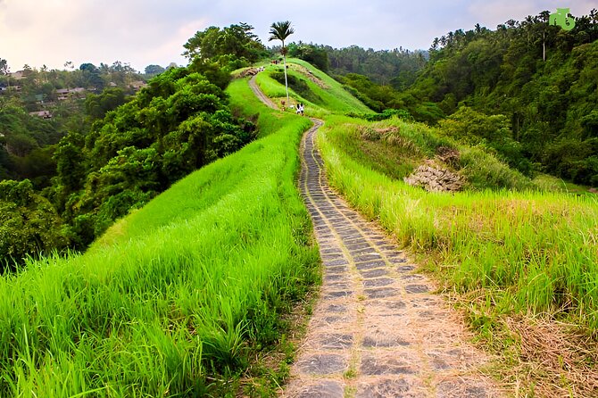 Bali Full Day-Tour: Ubud Sightseeing Trip - One long day built around Ubud’s highlights