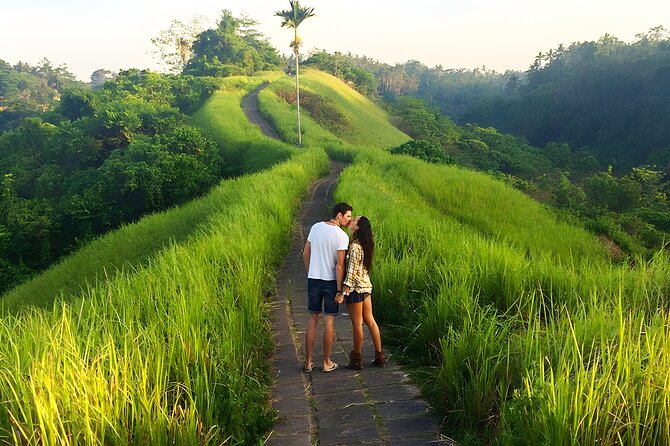 Bali Full Day-Tour: Ubud Sightseeing Trip - The drive is part of the practical value