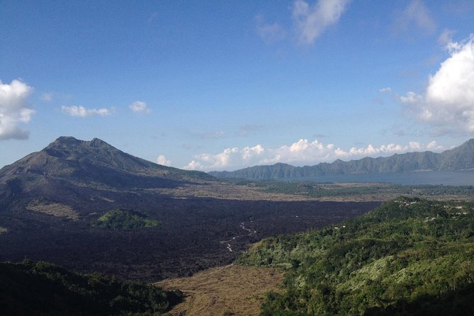 Bali Full-Day Traditional Village Sightseeing Trip All Inclusive - Monkey Forest, Ubud Palace, and the parking problem