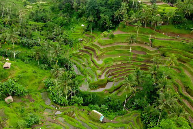 Bali Horse Riding Activity and Full-Day Trip in Ubud - Starting with a one-hour ride at Saba Beach