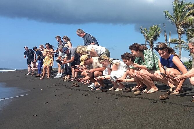 Bali Horse Riding and Turtle Release at Saba Beach - Why the turtle release gives this day meaning