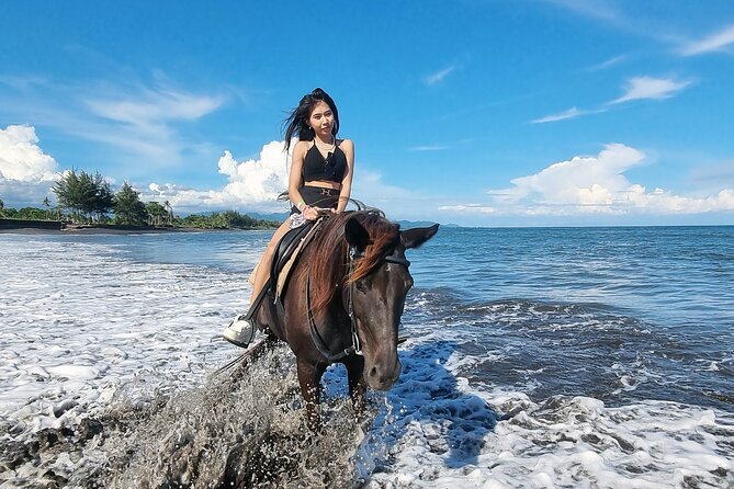 Bali Horse Riding and Turtle Release at Saba Beach - Who will enjoy this day most?