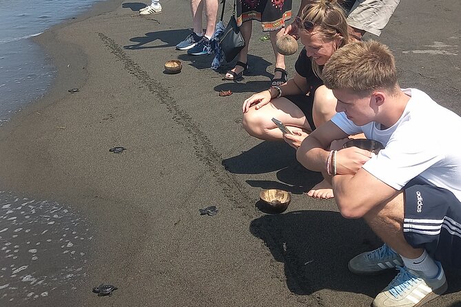 Bali Horse Riding and Turtle Release at Saba Beach - Practical booking advice for a smoother day