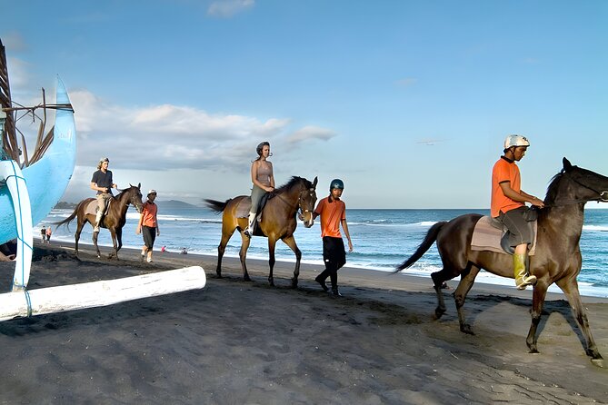 Bali Horse Riding in Saba Bay for 1 Hour with Pick Up Service - The one-hour route and its changing scenery