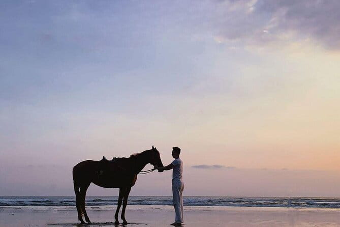 Bali Horse Riding Sanur Beach include Transport - What the countryside adds to the ride