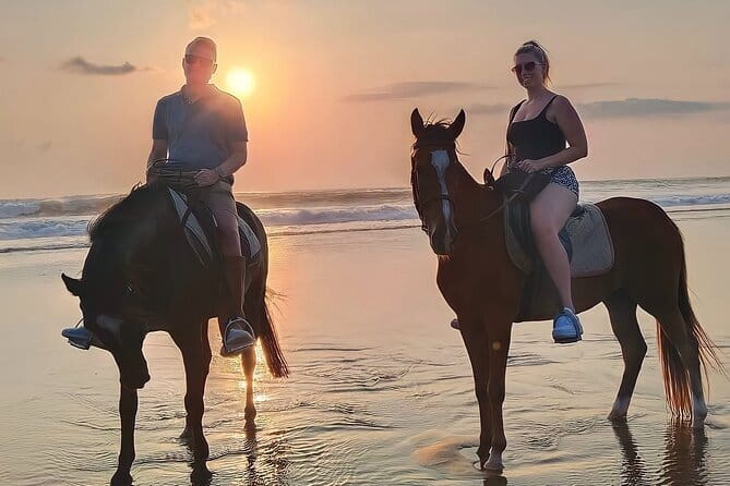 Bali Horse Riding Seminyak Beach Experience Private Transport - Starting at Mesari Stables on Jl. Abimanyu