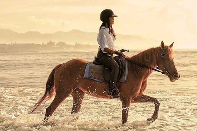 Bali Horse Riding, Waterfall, Rice Terrace, Lunch - All Inclusive - Key points at a glance