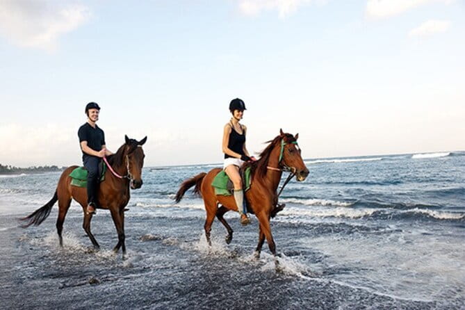 Bali Horse Riding, Waterfall, Rice Terrace, Lunch - All Inclusive - Why this Bali day works as a mixed sightseeing trip