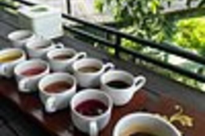 Bali in 1-Day : Rice Terrace, Volcano, Tanah lot - All Inclusive - Tegalalang Rice Terrace and lunch with a view
