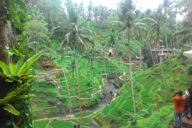 Bali in 1-Day : Rice Terrace, Volcano, Tanah lot - All Inclusive - Kintamani and the Mount Batur panorama