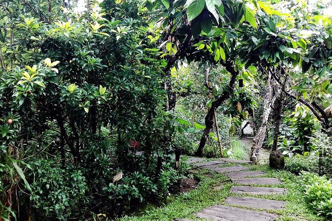 Bali in 1-Day : Rice Terrace, Volcano, Tanah lot - All Inclusive - Batuan Temple and Balinese Hindu detail