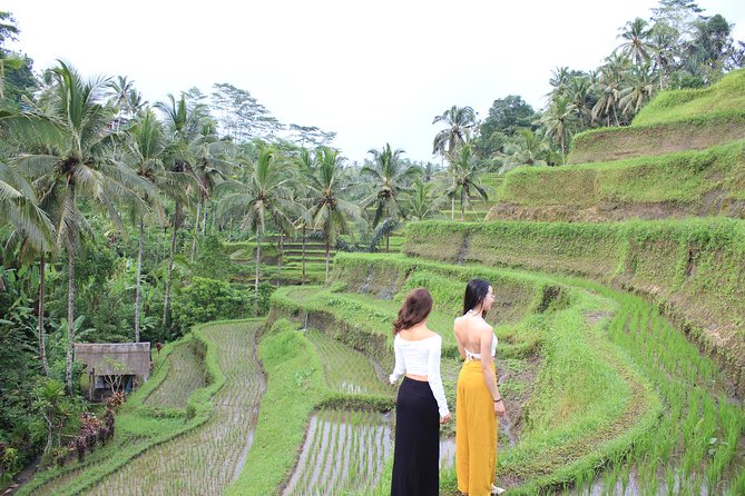 Bali Instagram Most Iconic Spots Private Tour - Starting at 7:00 am from south Bali
