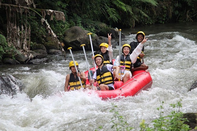 Bali Jungle Swing and White Water Rafting All Inclusive - Is $65 a fair price?