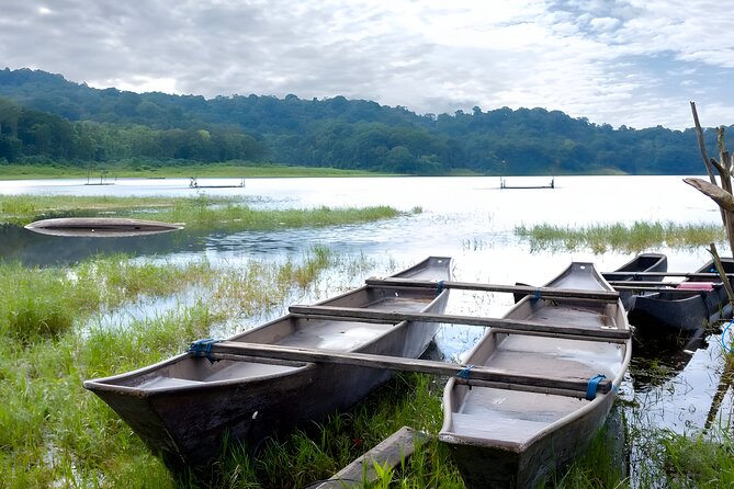 Bali Jungle Trekking in Beautiful Rainforest - The guided jungle trek and what it asks of you