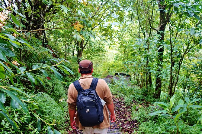 Bali Jungle Trekking in Beautiful Rainforest - Lunch after the walk