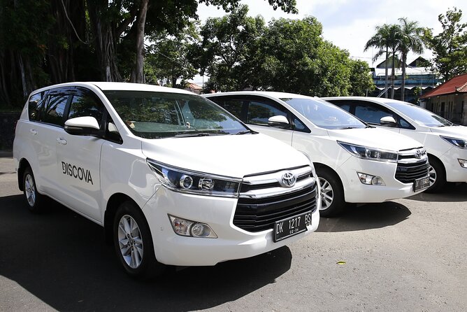 Bali Private Arrival Transfer: From Bali Airport to Bali Hotel - Who will get the most from this transfer
