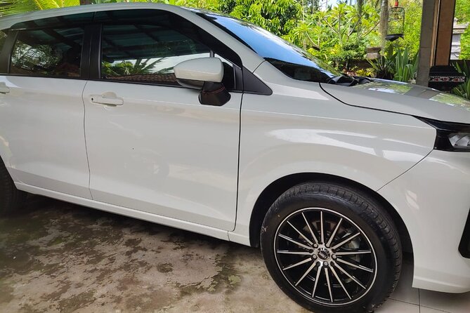 Bali Private Car and Customize Tour With English Speaking Driver - Monkey Forest and the Ubud center