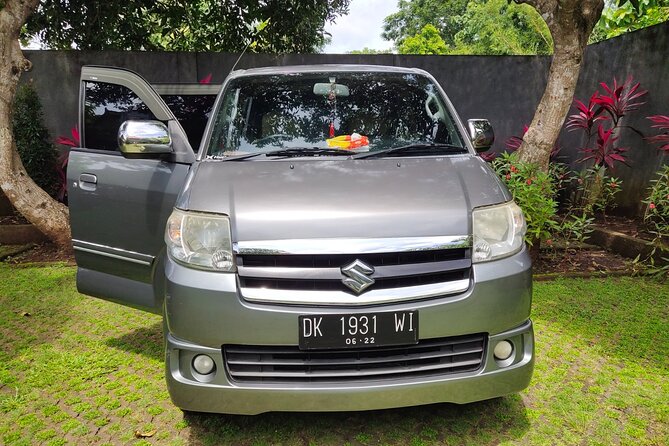 Bali Private Car and Customize Tour With English Speaking Driver - Tegalalang Rice Terrace and Aloha Ubud Swing