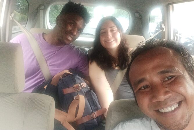 Bali Private Car and Driver – Explore the Island Your Way - What the car service includes