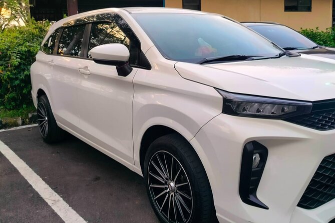 Bali Private Car Charter & Customize Tour With Driver English Speaking-Free WiFi - What this Bali private charter really offers
