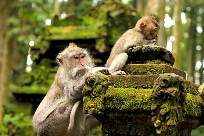 Bali Private Car Charter & Customize Tour With Driver English Speaking-Free WiFi - Small cultural stops in the itinerary