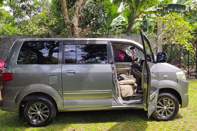 Bali Private Car Charter & Customize Tour With Driver English Speaking-Free WiFi - Who should book this experience?