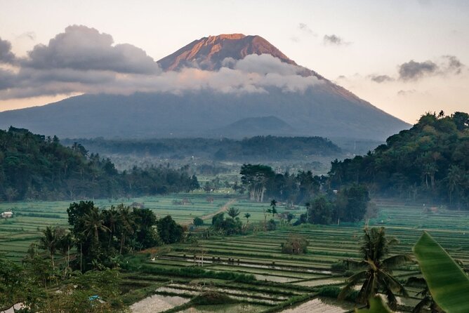 Bali Private Car Charter with English Speaking Driver - Key points to know before booking