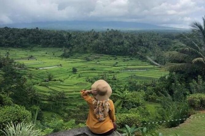 Bali Private Car Charter with English Speaking Driver - Pick one Bali region instead of chasing the whole island