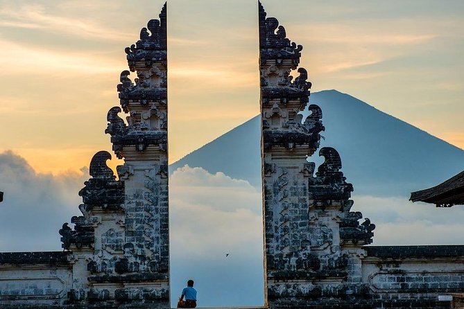 Bali Private Car Charter with English Speaking Driver - The jungle swing adds photographs, not cultural depth