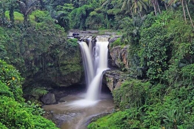 Bali Private Car Charter with English Speaking Driver Or Guide - Coffee, tea, and other flexible stops