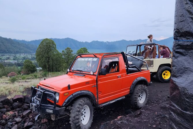 Bali Private Custom Tour - Practical timing and pickup details