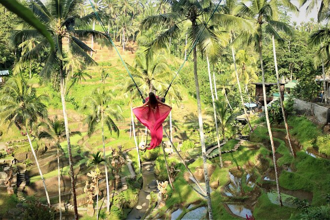 Bali Private Full Day Tour to Visit the Best Waterfalls and Swing near Ubud - Tibumana is the quiet contrast