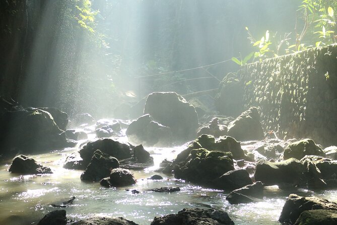 Bali Private Full Day Tour to Visit the Best Waterfalls and Swing near Ubud - The Terrace River Pool Swing is playful and highly staged