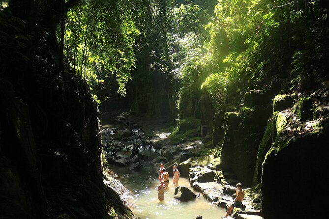 Bali Private Full Day Tour to Visit the Best Waterfalls and Swing near Ubud - Tegallalang Rice Terrace gives you 30 minutes for the view