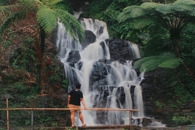Bali : Private Fullday trip, Discover North Bali Destination - Banyumala and Banyuwana waterfalls